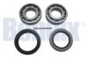 SUBAR 723038070 Wheel Bearing Kit